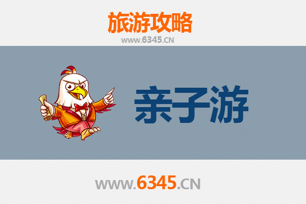 常德汉寿亲子游全攻略：探索自然与文化的家庭乐趣